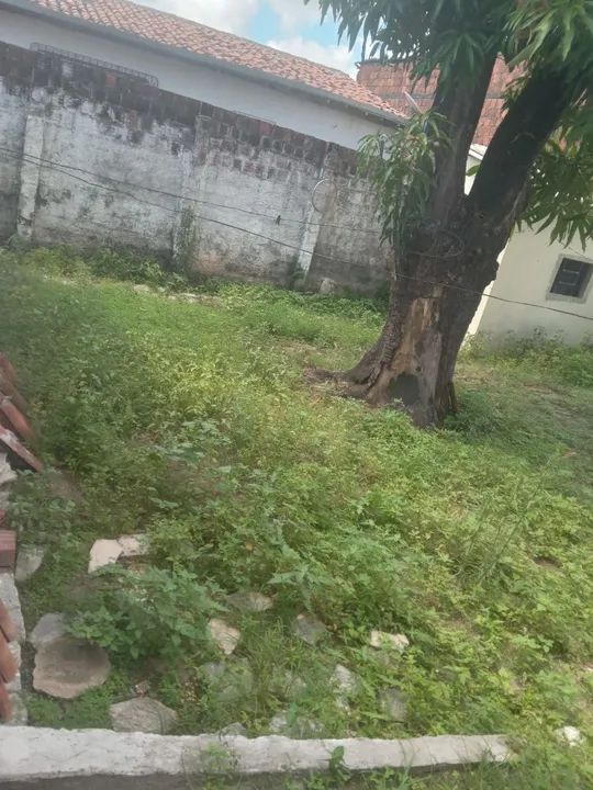 Limpeza Na Roçadeira  - Foto 3