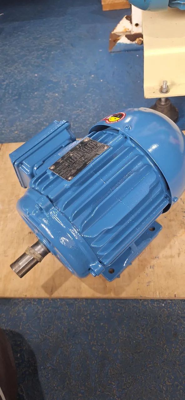 Motor elétrico trifásico 1 cv rpm 1140 baixa rotação 6 polos. - Foto 4