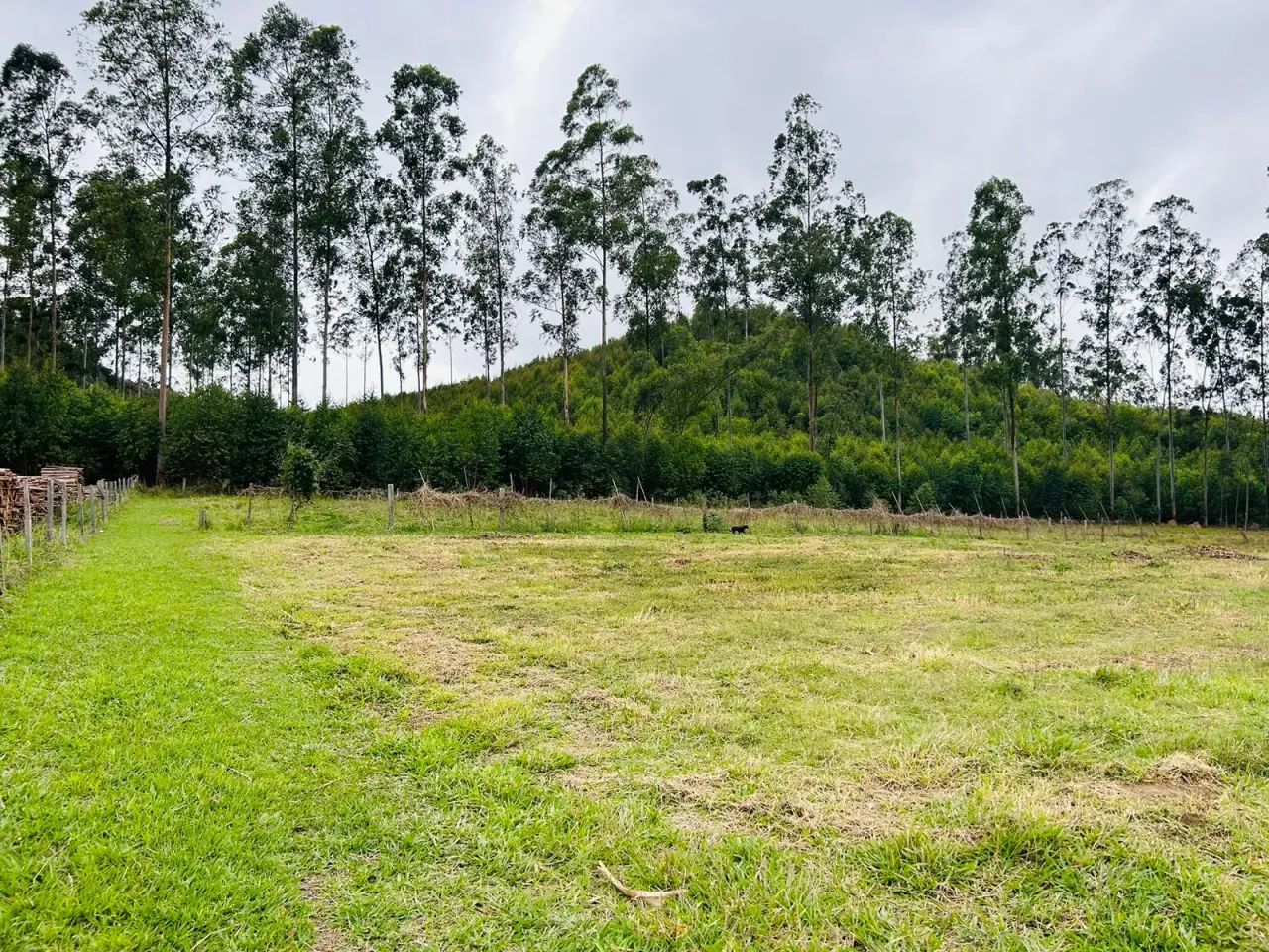 DOCUMENTAÇÃO REGULARIZADA: PRONTO PARA CONSTRUIR SEU LAR!  Alumínio SP - Foto 7