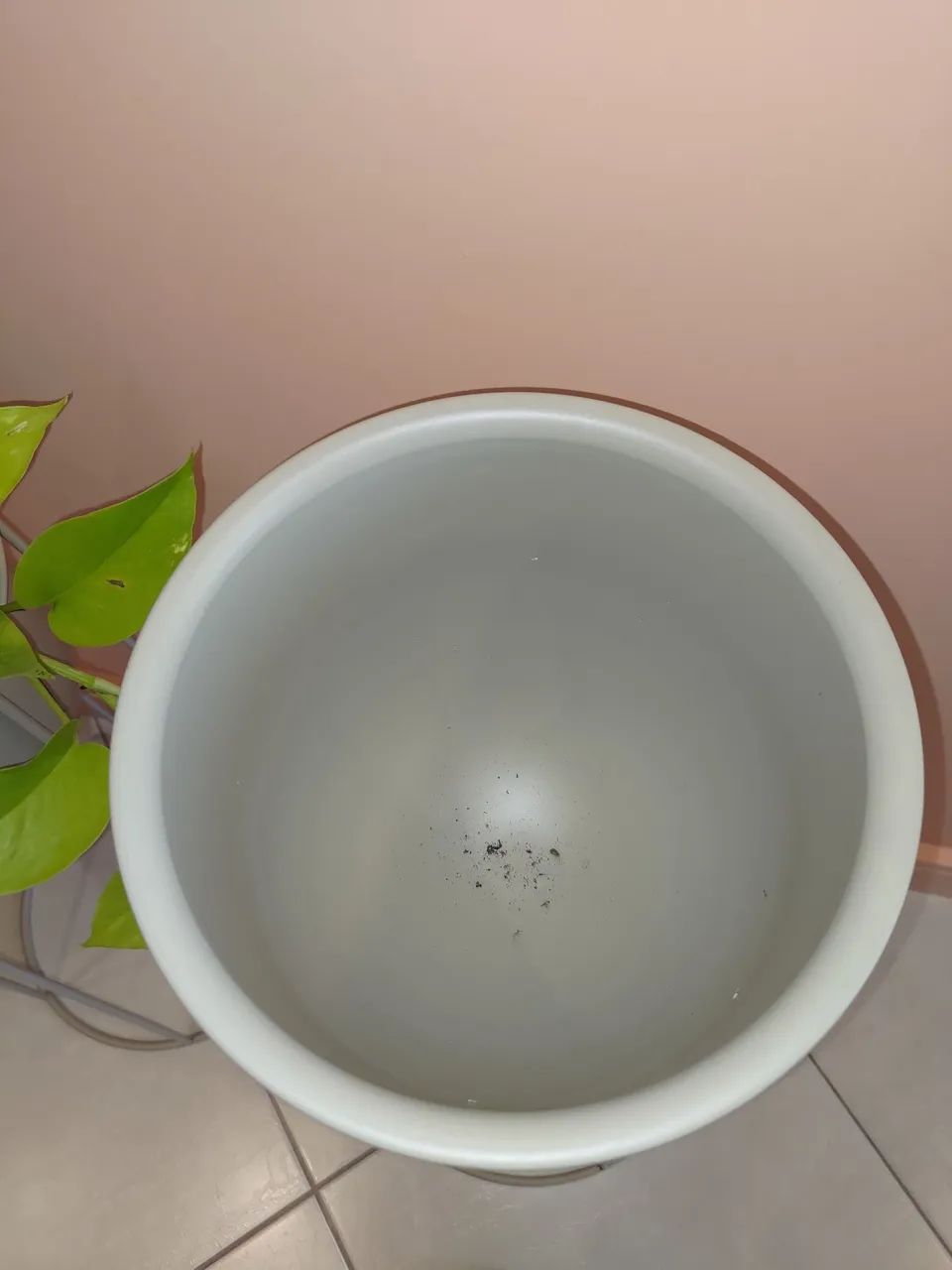 Suporte para plantas - Foto 4