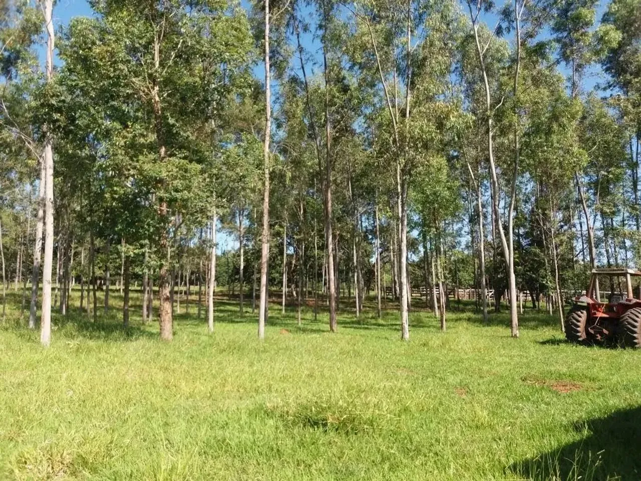 COD379- Fazenda 122HECTARES em Aquidauana /MS.