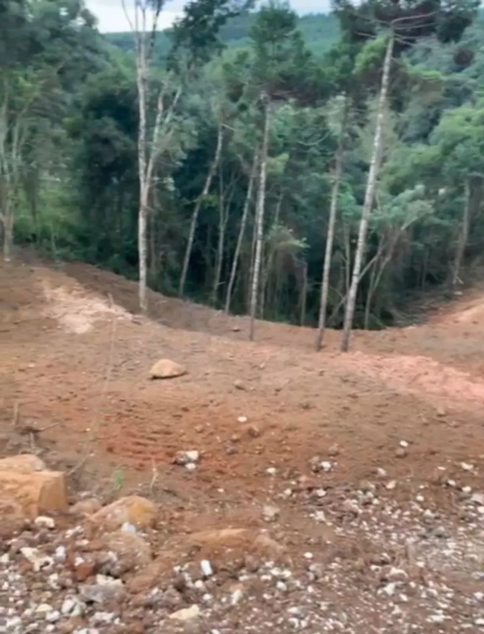 Chácara em Mandirituba  - Foto 3
