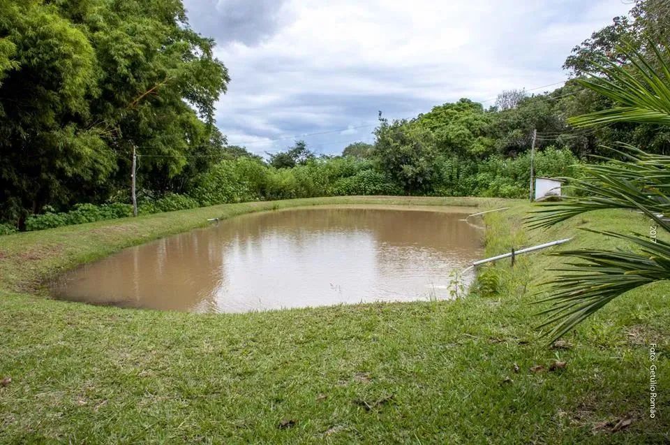 Sítio em Brazlandia -DF, 48ha, escriturado - Foto 12