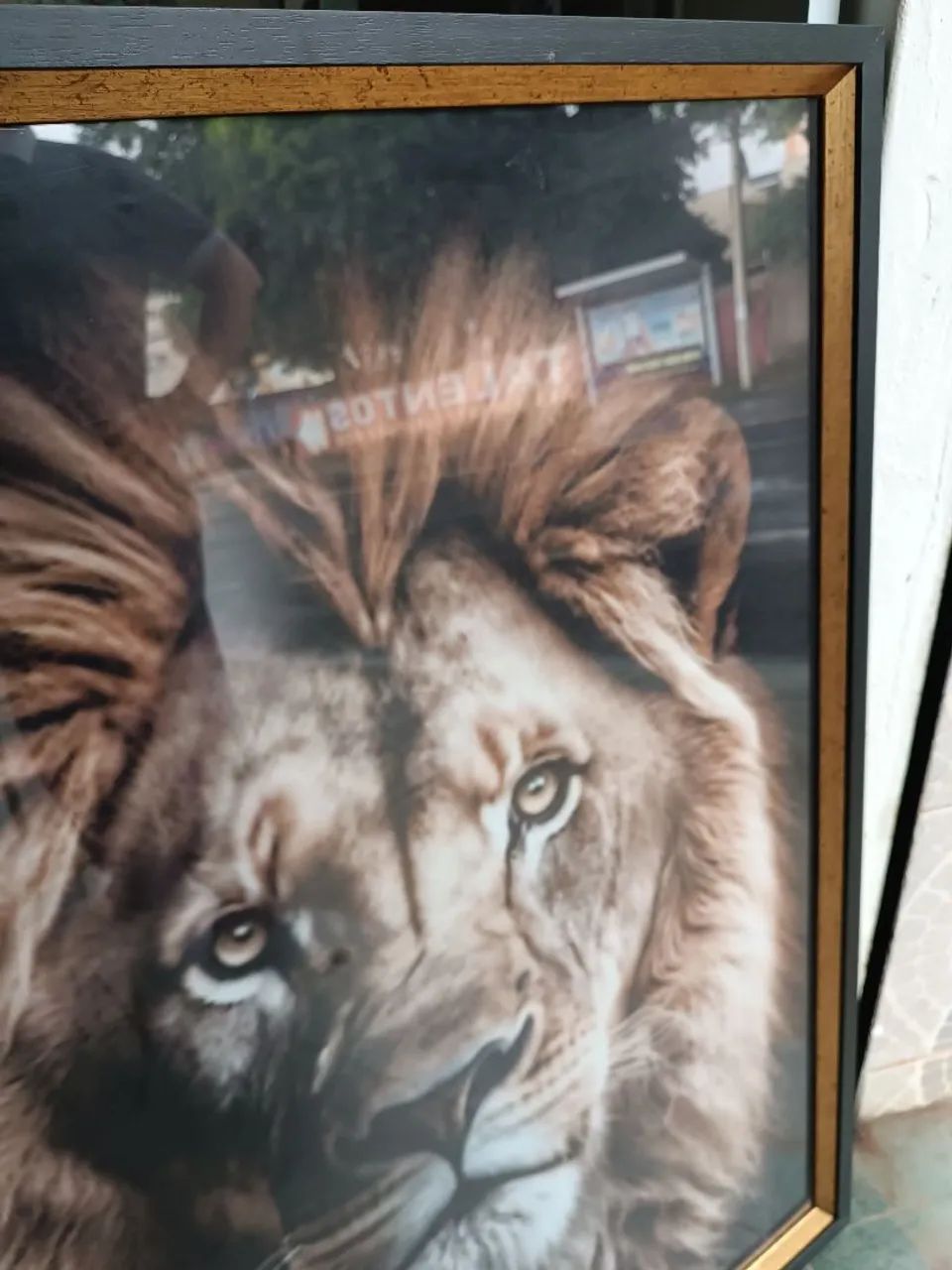 Quadro Decorativo Leão - Foto 3