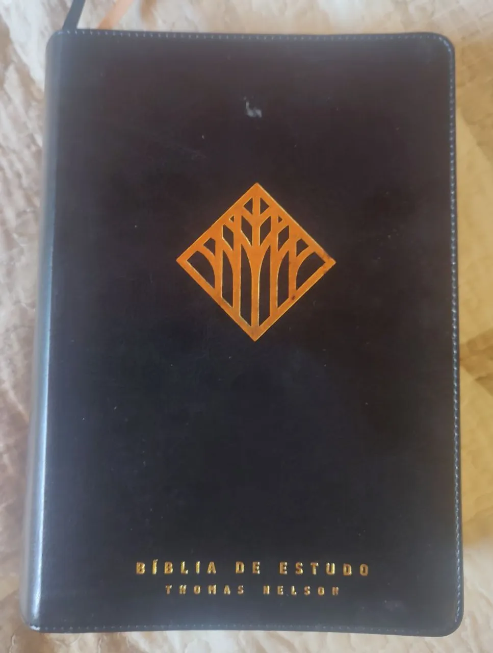 Bíblia de Estudo Thomas Nelson