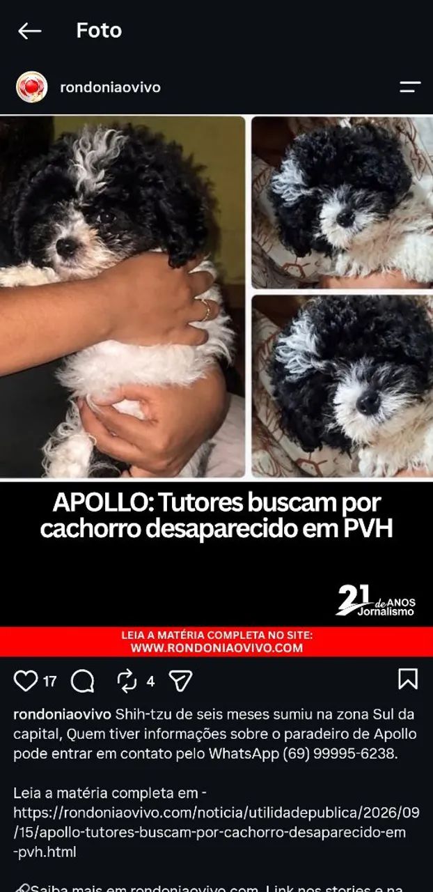 Procura-se cachorro perdido