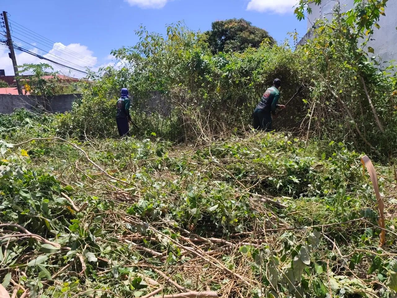 LIMPEZA GERAL, roçagem, poda, gadanhagem, coleta de resíduos e etc.. - Foto 5