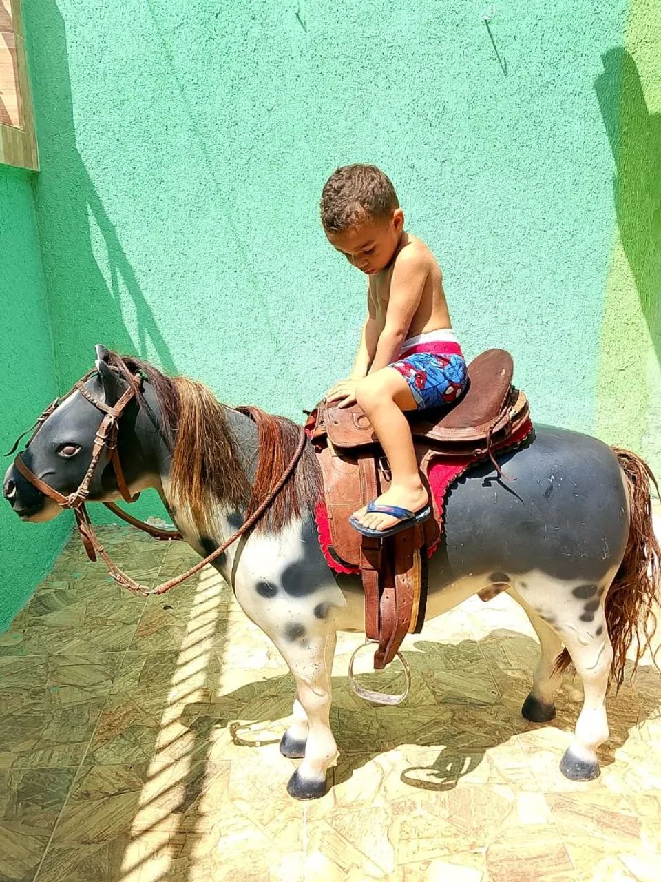 Pônei cenográfico em tamanho real  - Foto 5