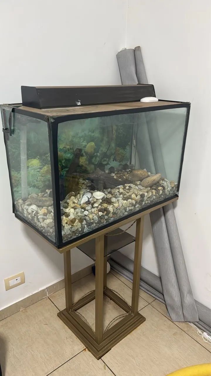 Aquário 