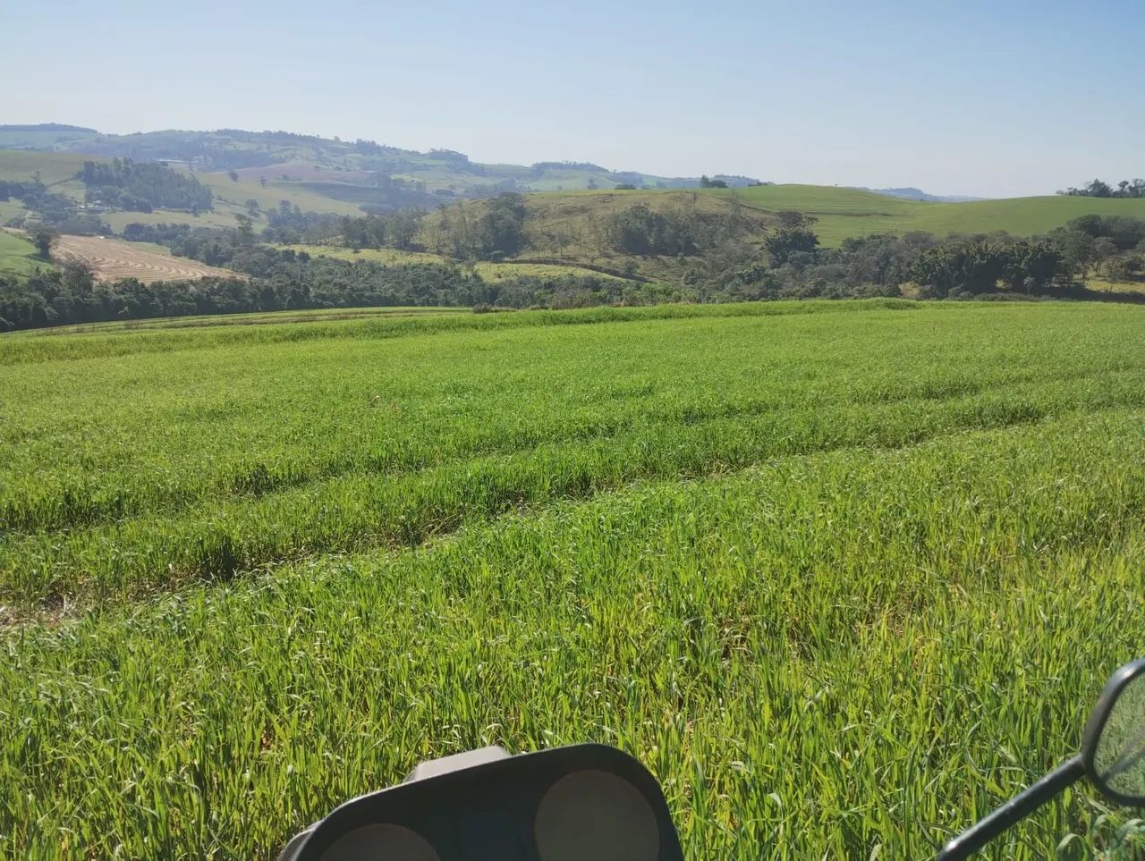 Fazenda  a venda  - Foto 3