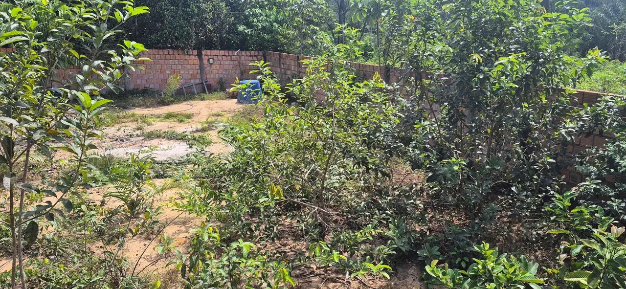 Terreno próximo ao Paricatuba  - Foto 3