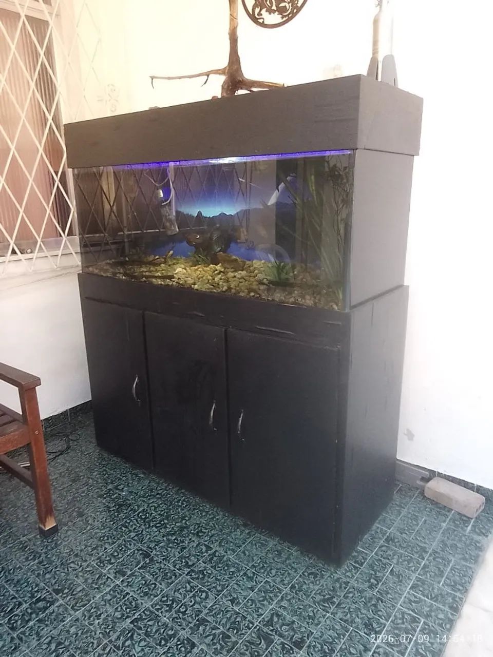 Aquário  - Foto 2