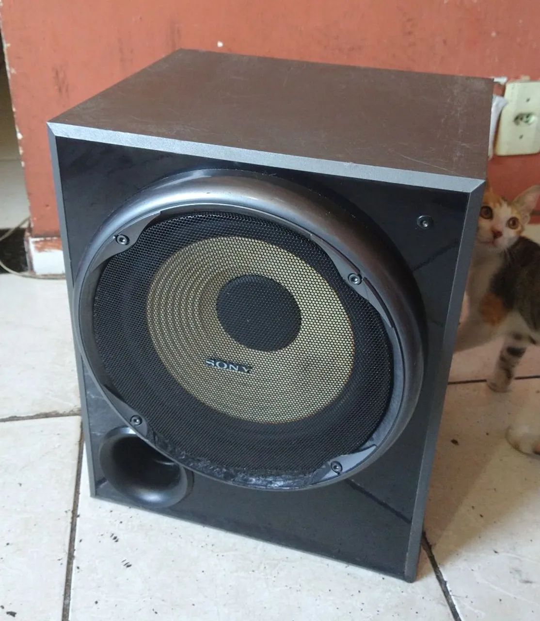 Subwoofer Ativo Sony 10 polegadas. Só em Manaus  - Foto 3