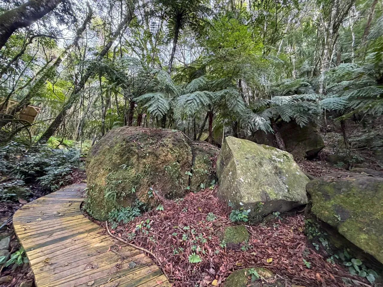IMÓVEL COM TAPETE DE NUVENS E CÂNION EXCLUSIVO - Foto 5