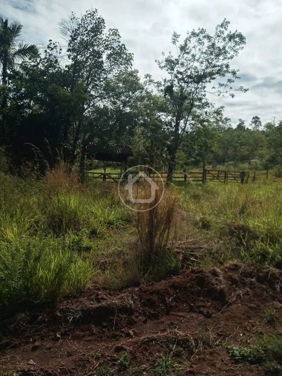 CHÁCARA EM BANDEIRANTES - Foto 5
