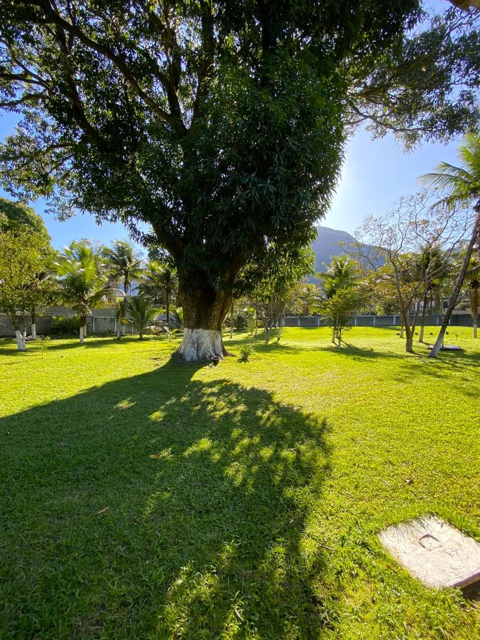 (V) Itaguaí, Sítio com casa duplex. - Foto 2