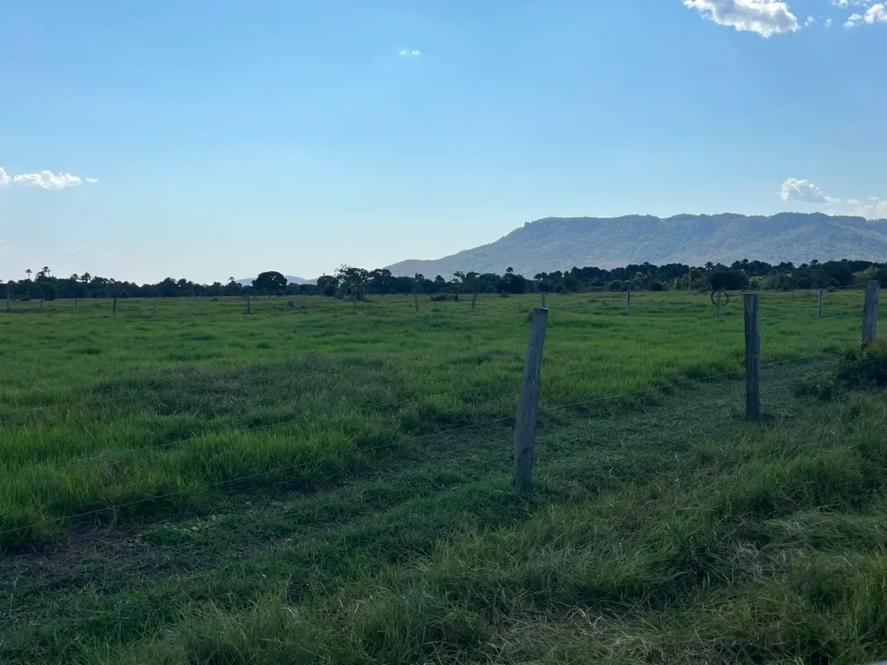 Fazenda aptidão pecuária a 140 km de Cuiabá  - Foto 5