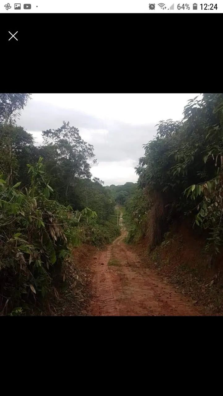 Vendo sítio em Iguape SP  - Foto 4