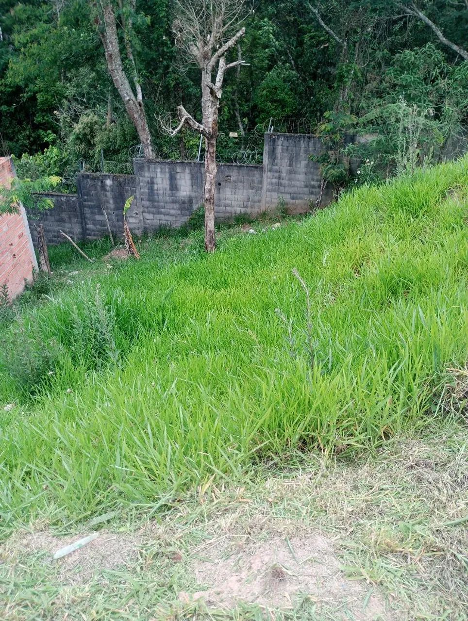 Foto - Itaquaquecetuba - Residencial Jasmim