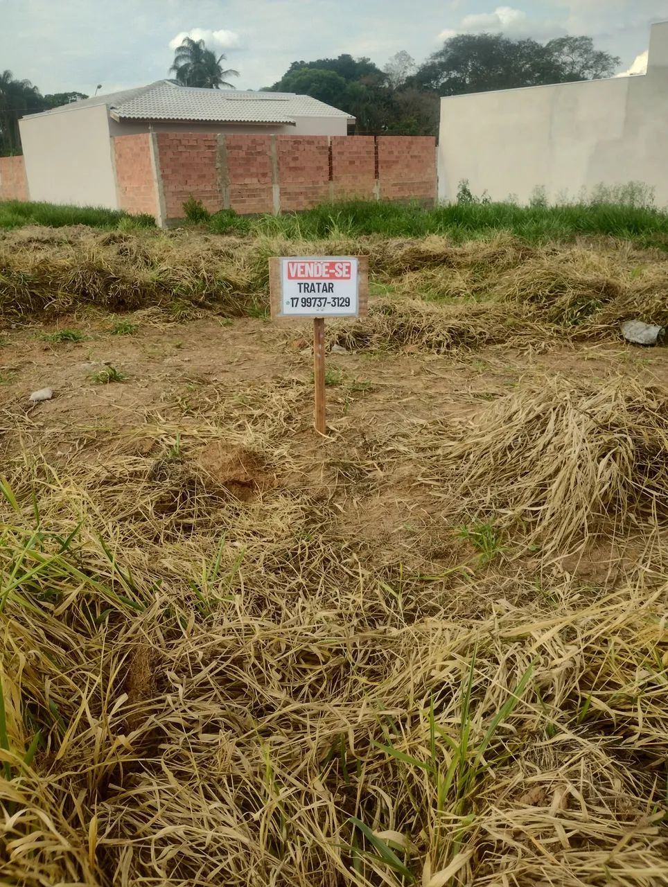 Vendo terreno em Penápolis SP  - Foto 3