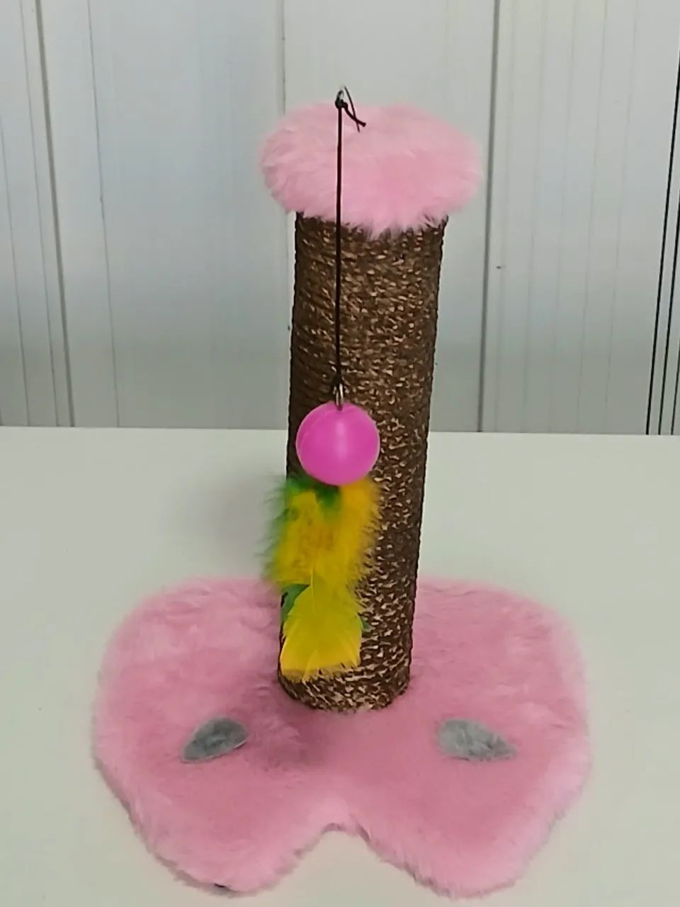 araodo de gato - Foto 4