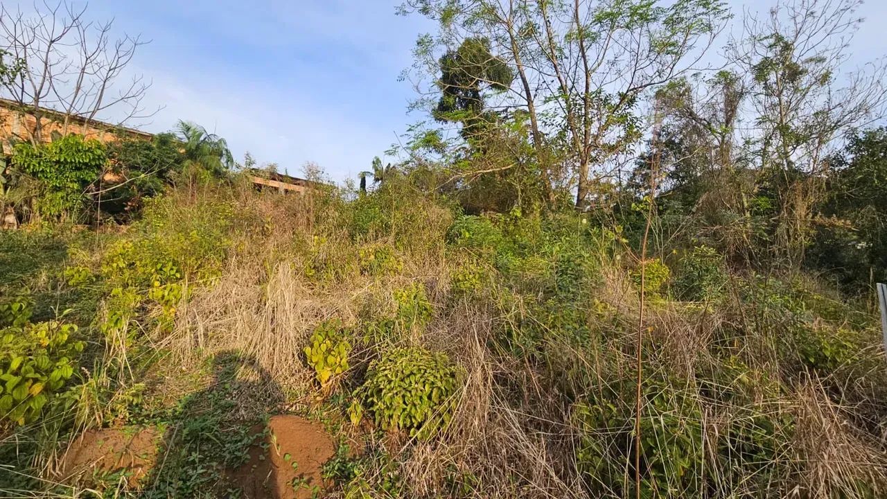 Lote no centro de Santo Amaro da Imperatriz - SC - Foto 3