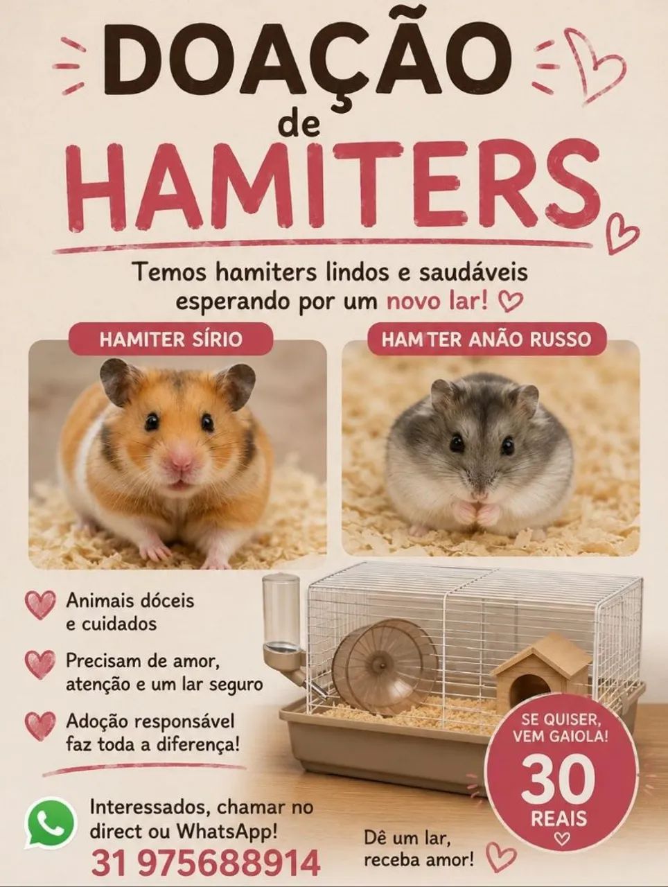 Doação de hamiters 