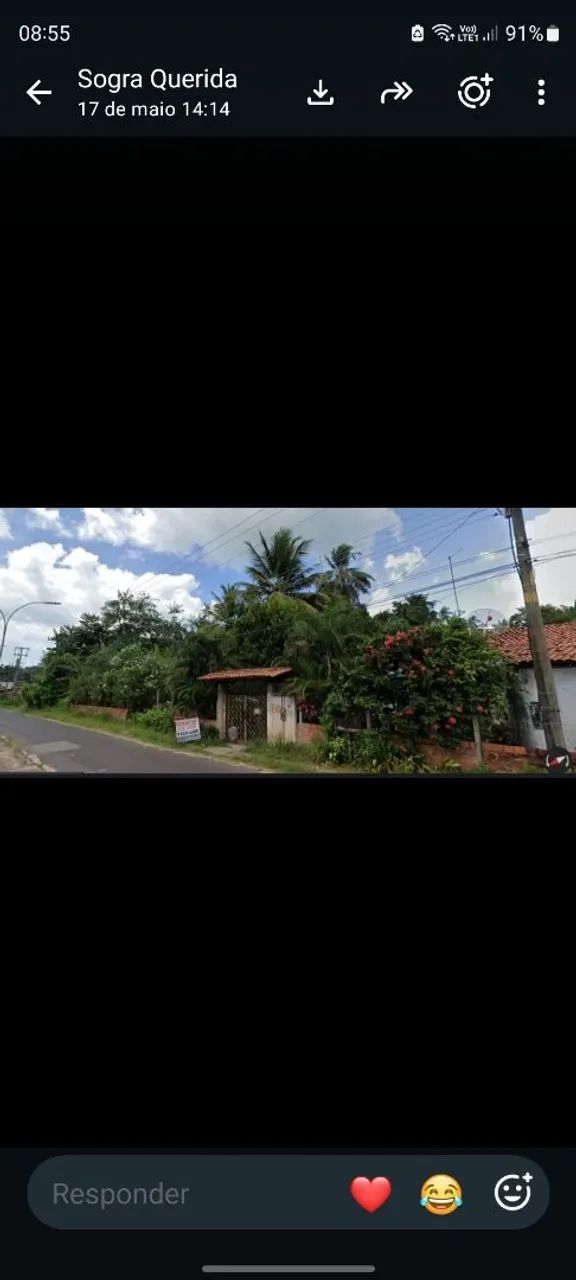 Sítio em panaquatira todo documentado.  - Foto 2