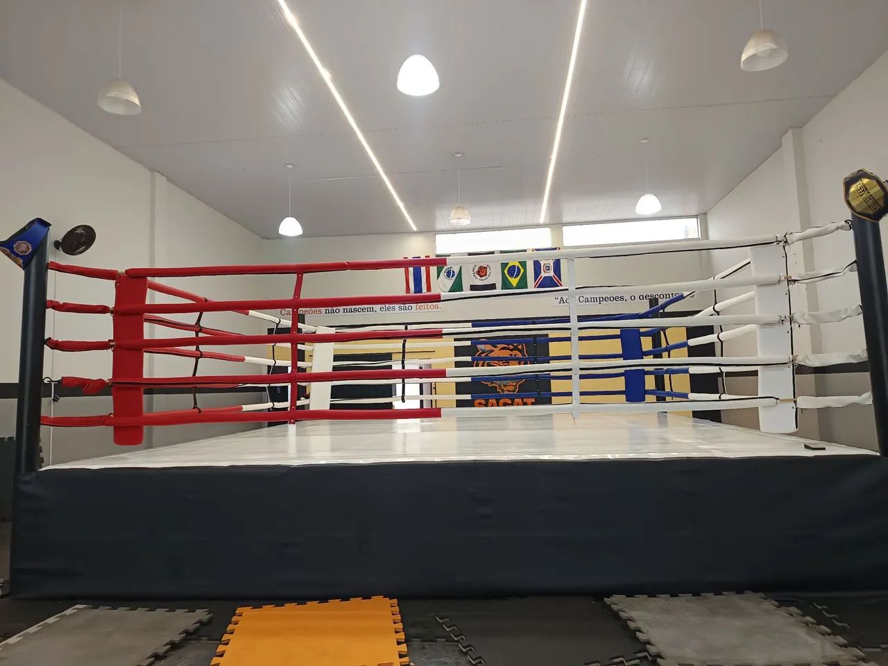 RINGUE PROFISSIONAL 