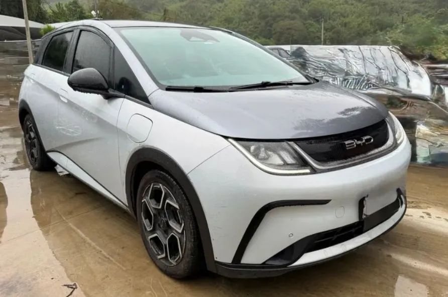 BYD Dolphin Plus (Elétrico) 2024 - Foto 3