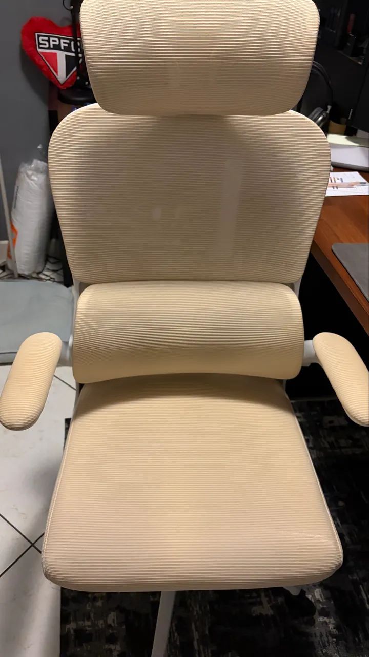 Cadeira Ergonômica 