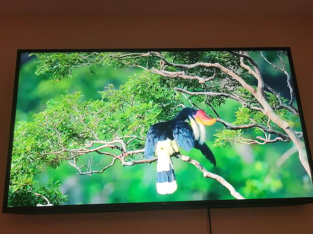 VENDO TELEVISÃO MARCA LG 60 POLEGADAS SMART 4K - Foto 3