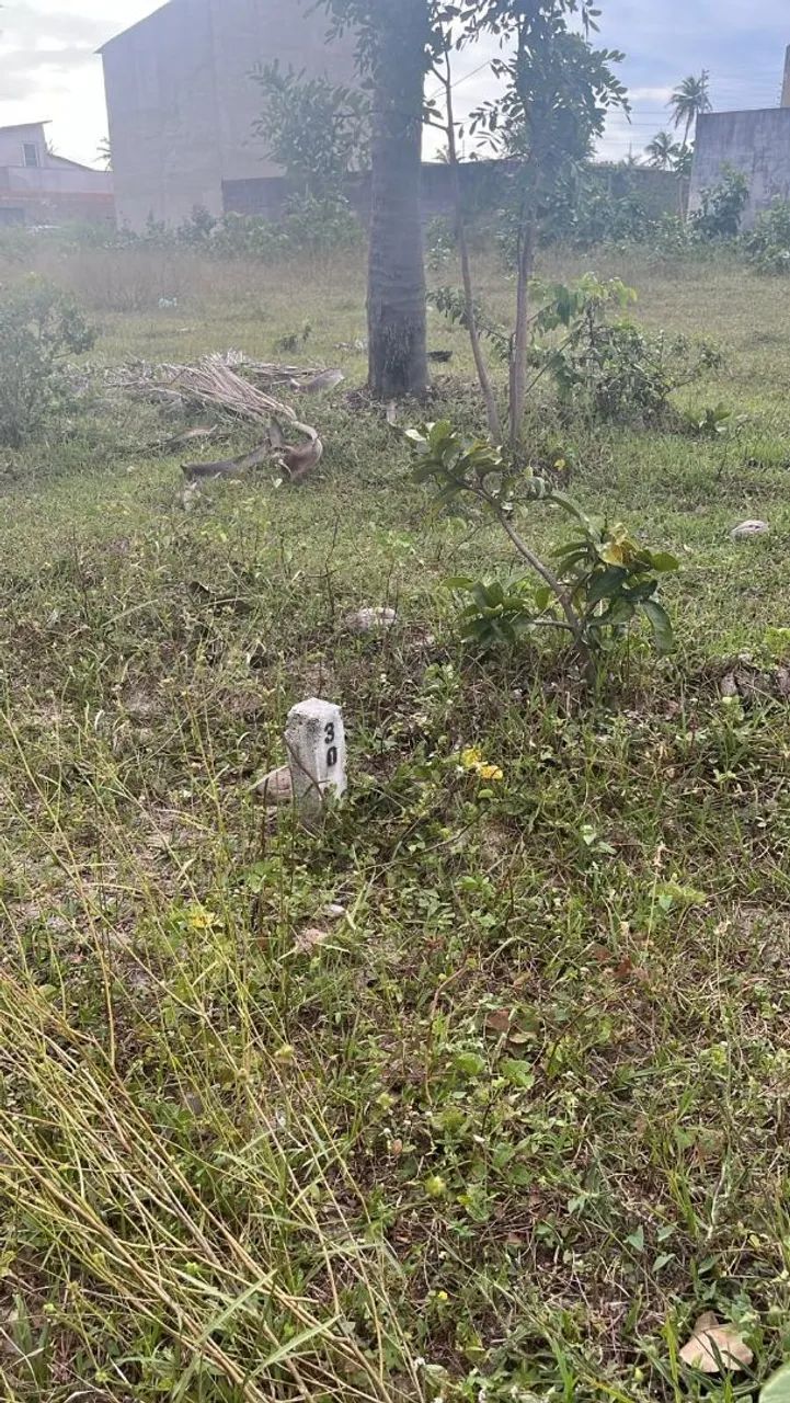 Loteamento Parque dos Coqueiros  - Foto 2