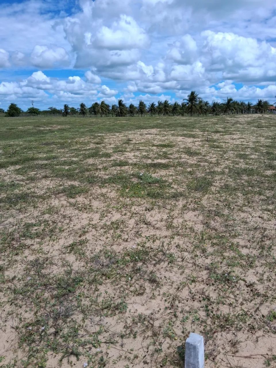 Vendo terreno próximo à praia de caiçara do norte  - Foto 3