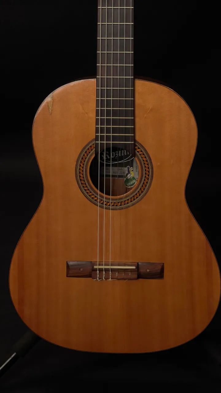 Violão Rozini Rx210 Studio Acústico (Tampo Maciço) - Foto 2