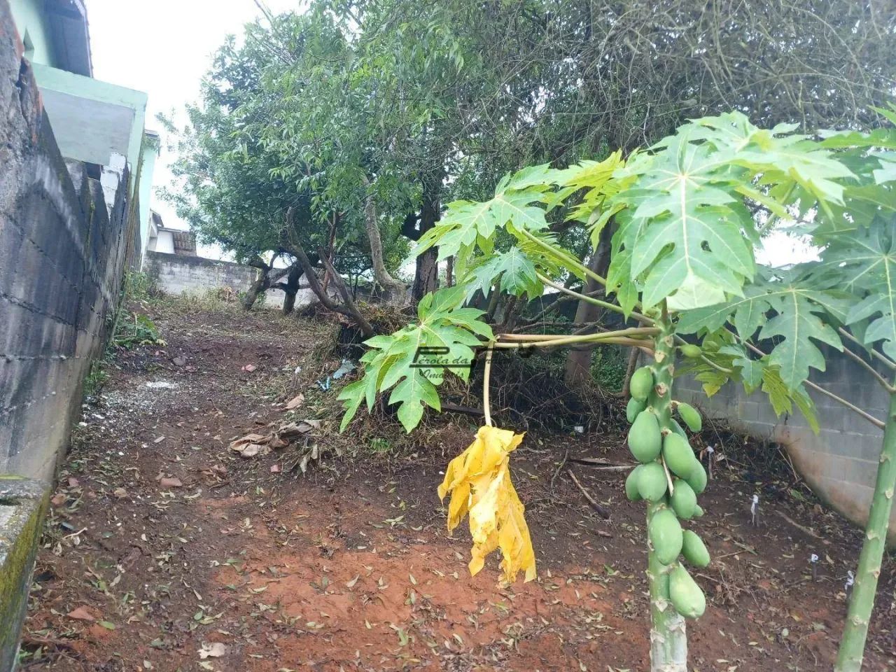 Lindo Terreno no Barro Branco - Foto 2