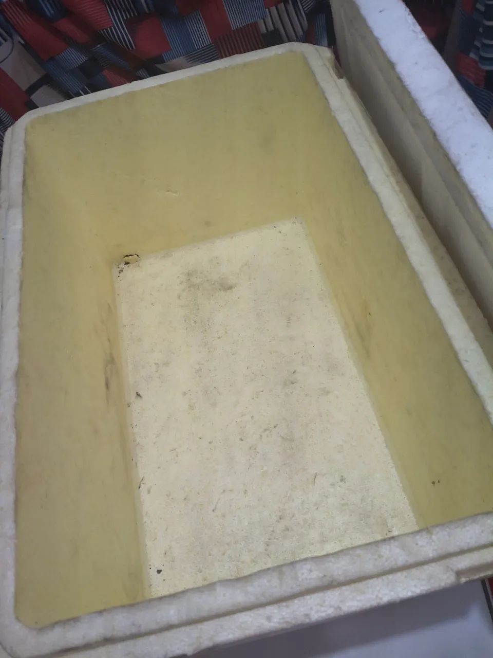 Caixa de isopor térmica usei 2 vezes e estáva guardado  - Foto 2