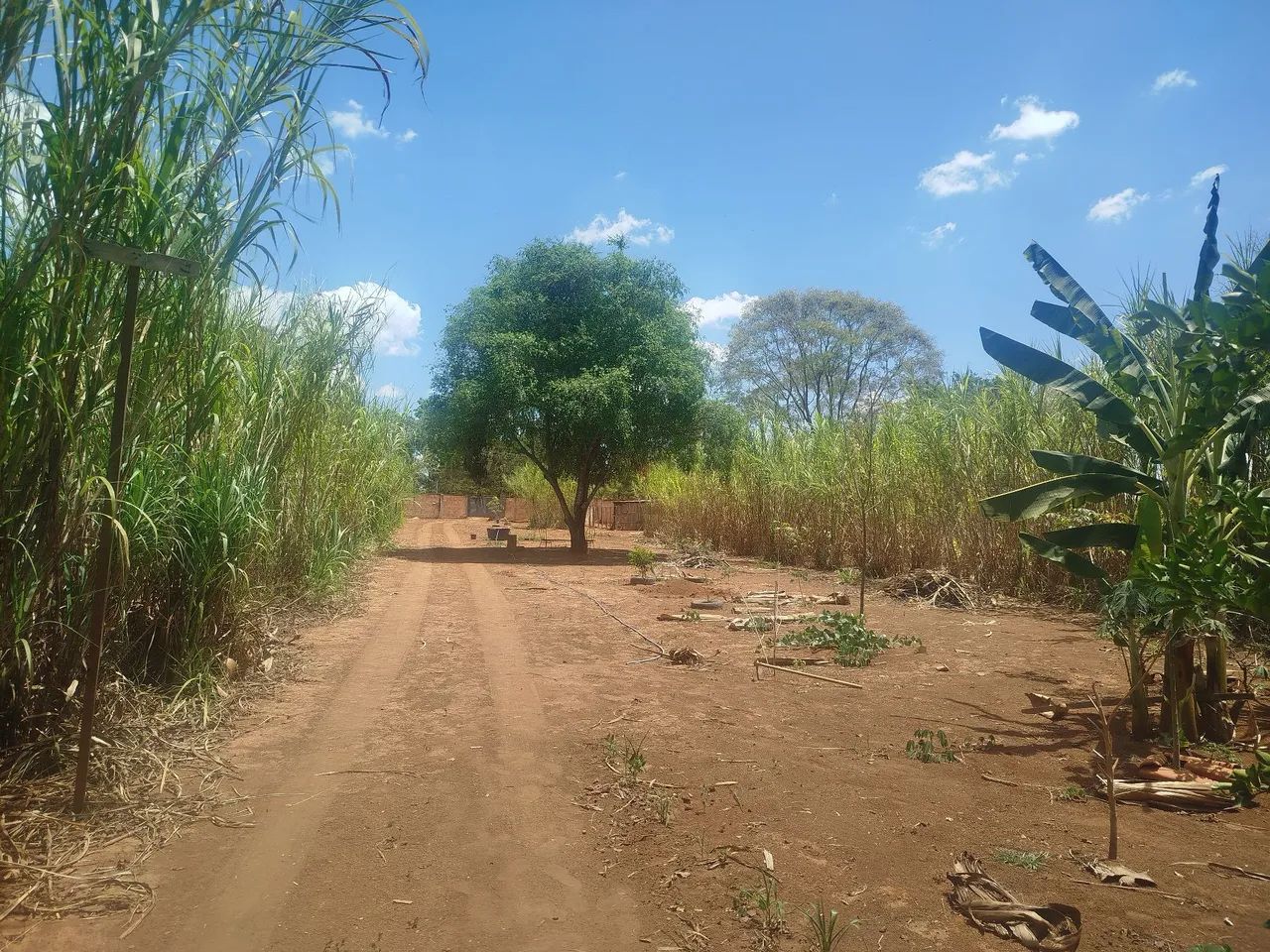 Vende se chácara em Luziânia Goiás  - Foto 4