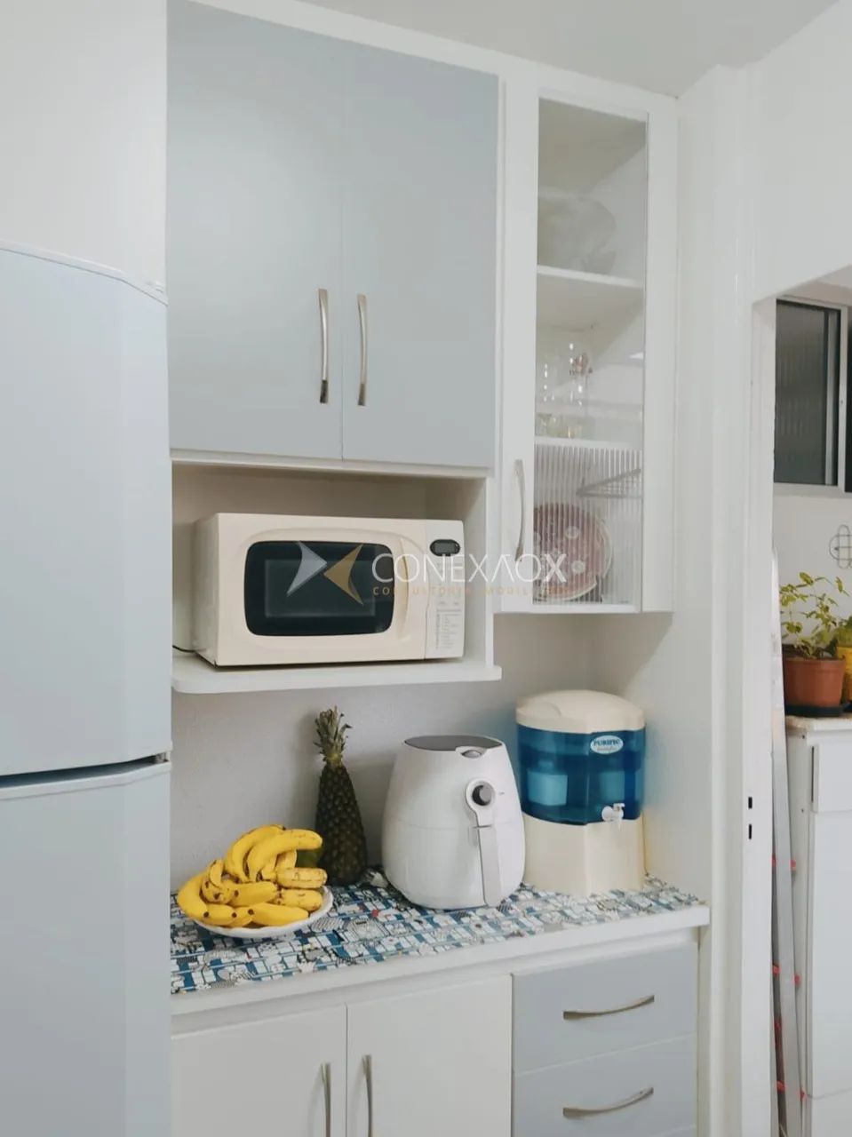 apartamento - Jardim Miranda - Campinas - Foto 2