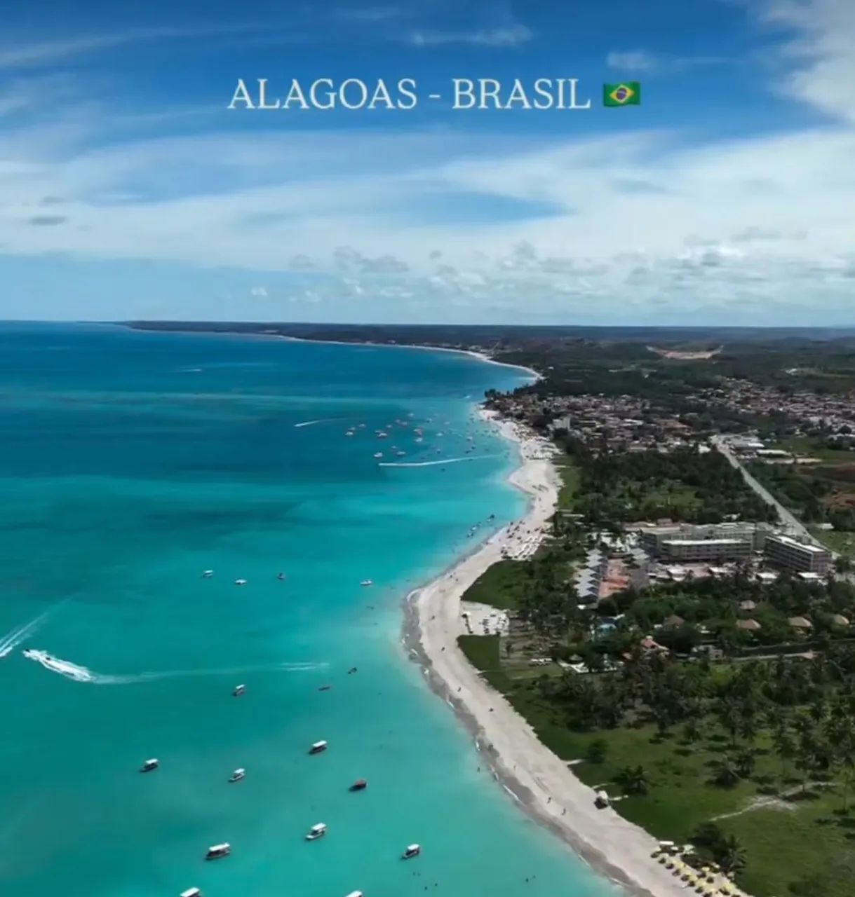 Venha  conhecer  melhor  de  Alagoas  - Foto 3