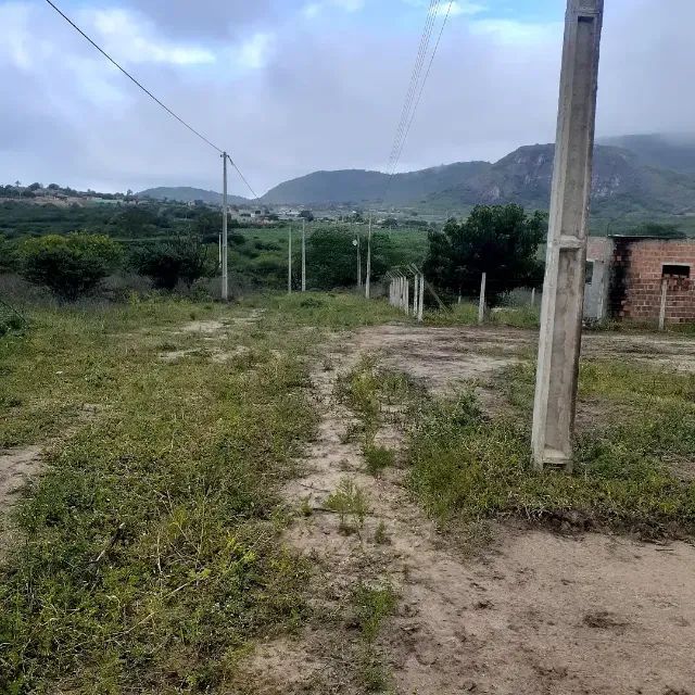 TERRENOS 36000M2 - Foto 2