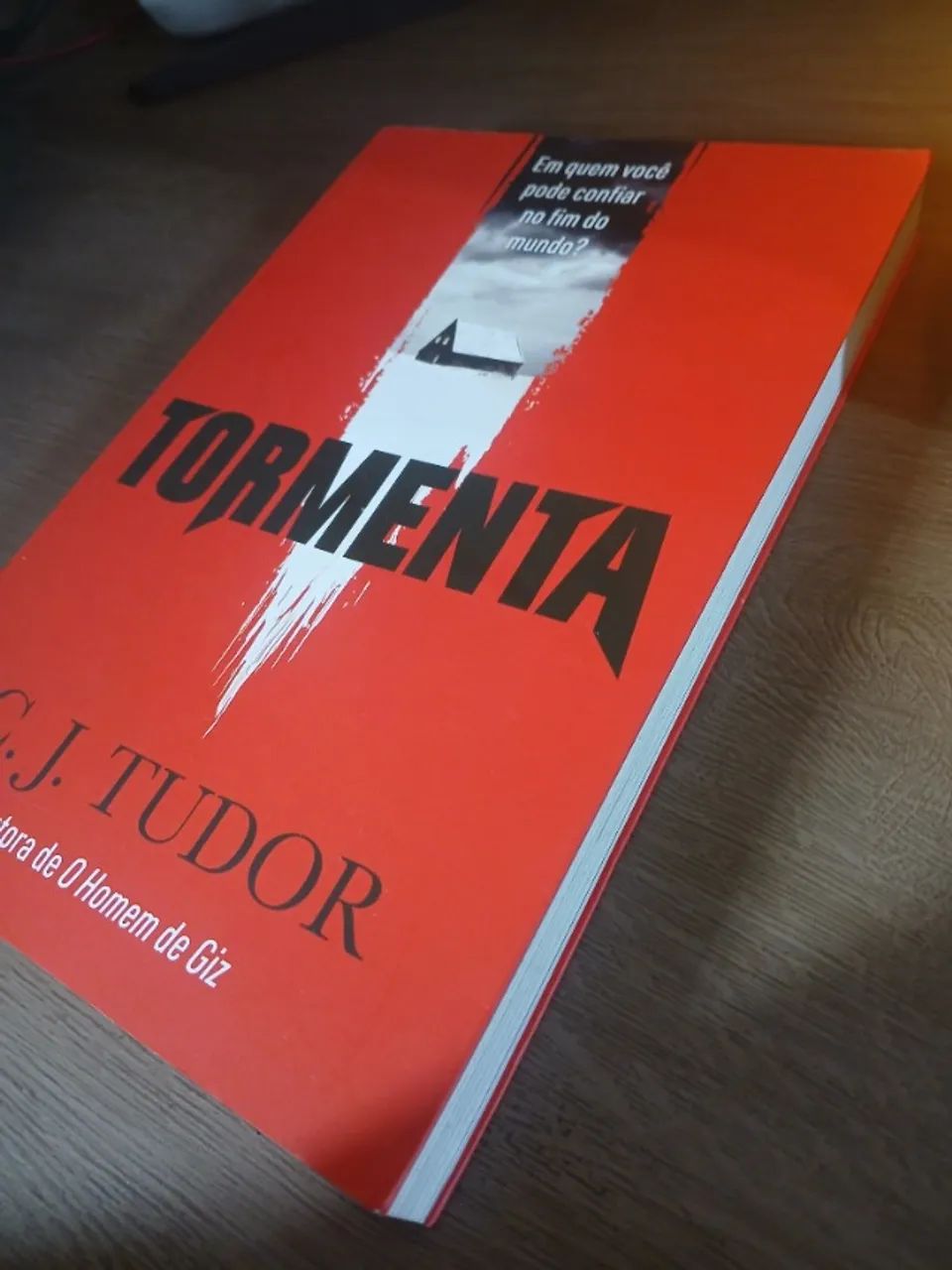 Livro Tormenta - Foto 3