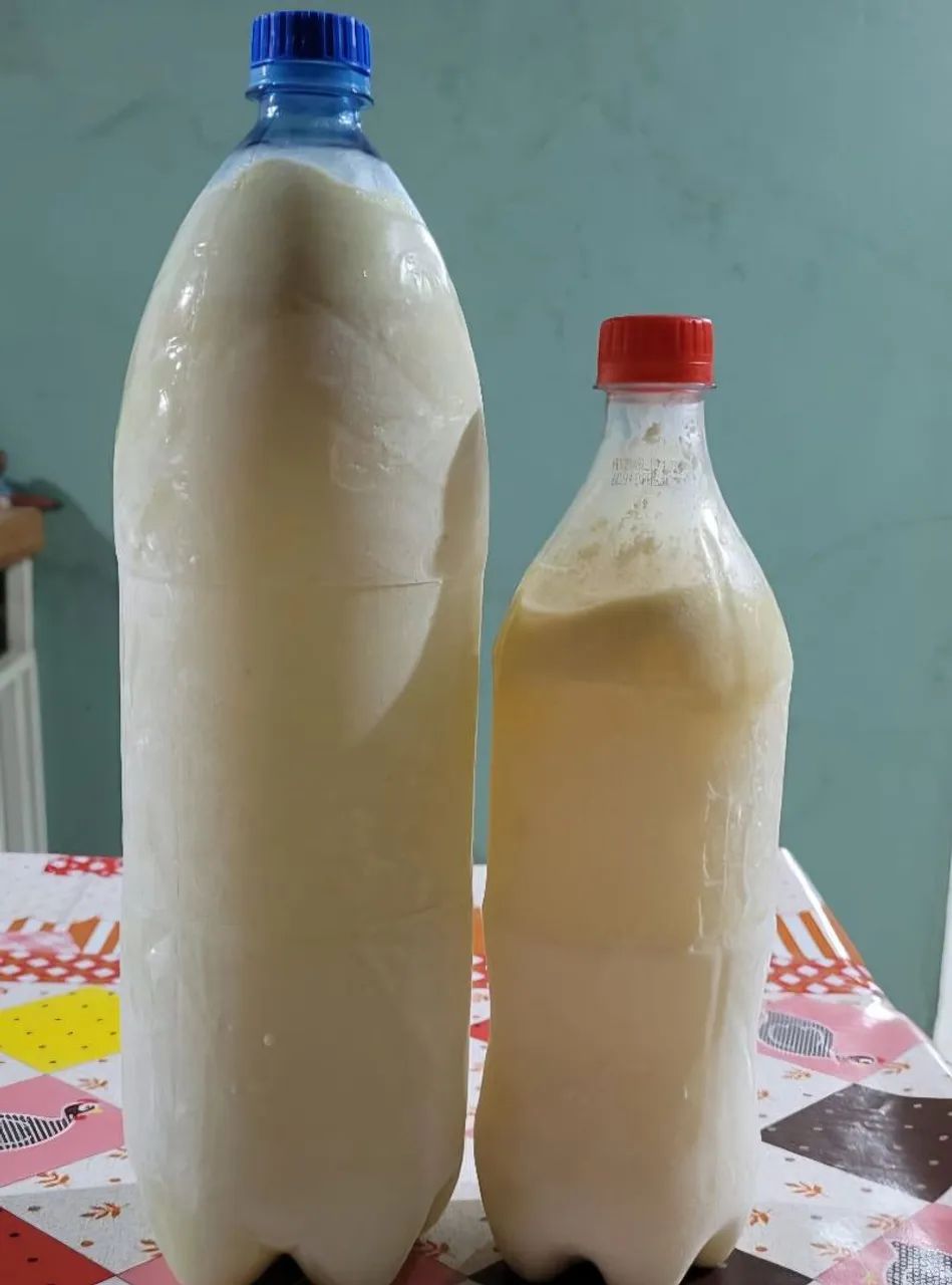 LEITE DE VACA CONGELADO - Foto 2