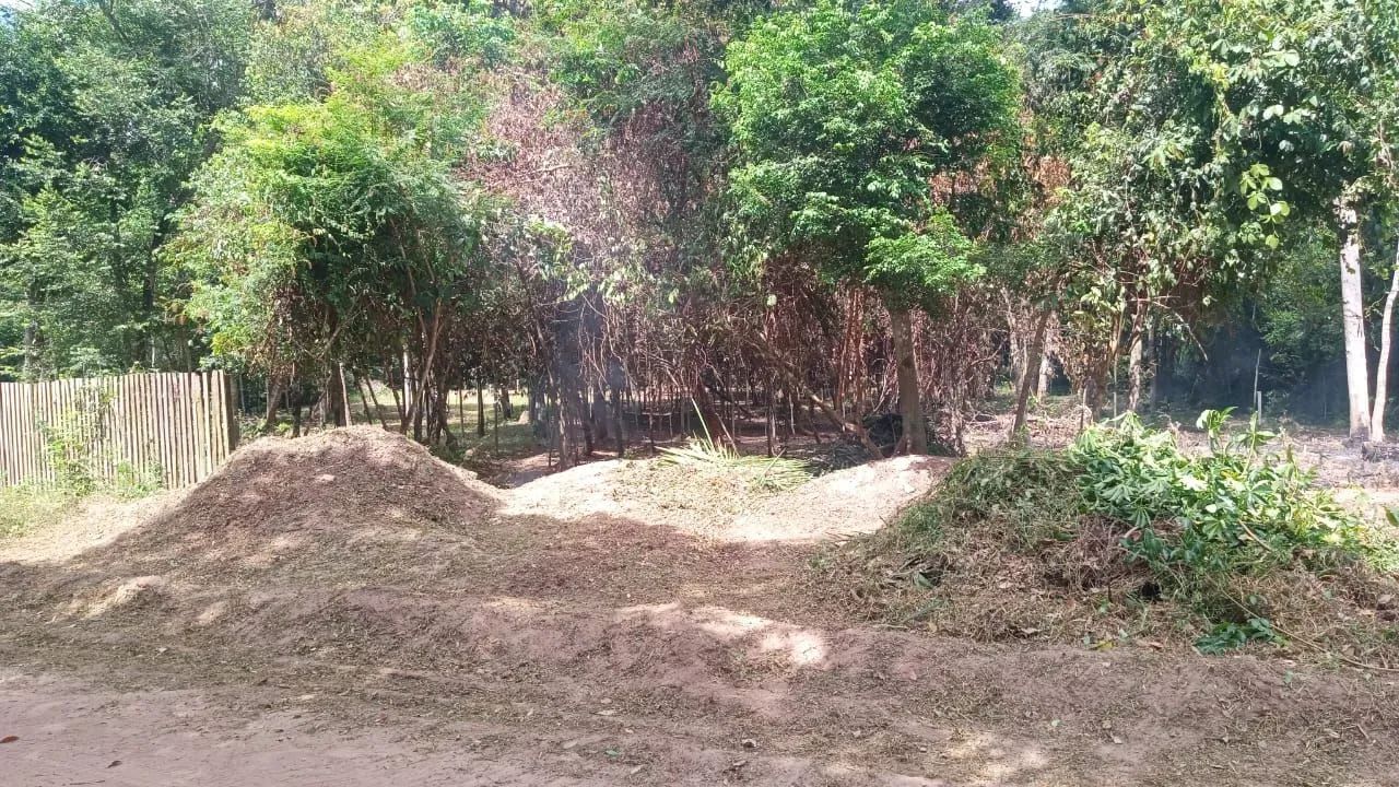 Terreno em Belterra com igarapé  - Foto 2