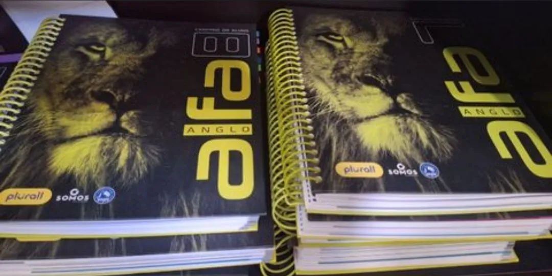 Caderno do Aluno - Anglo - Foto 5