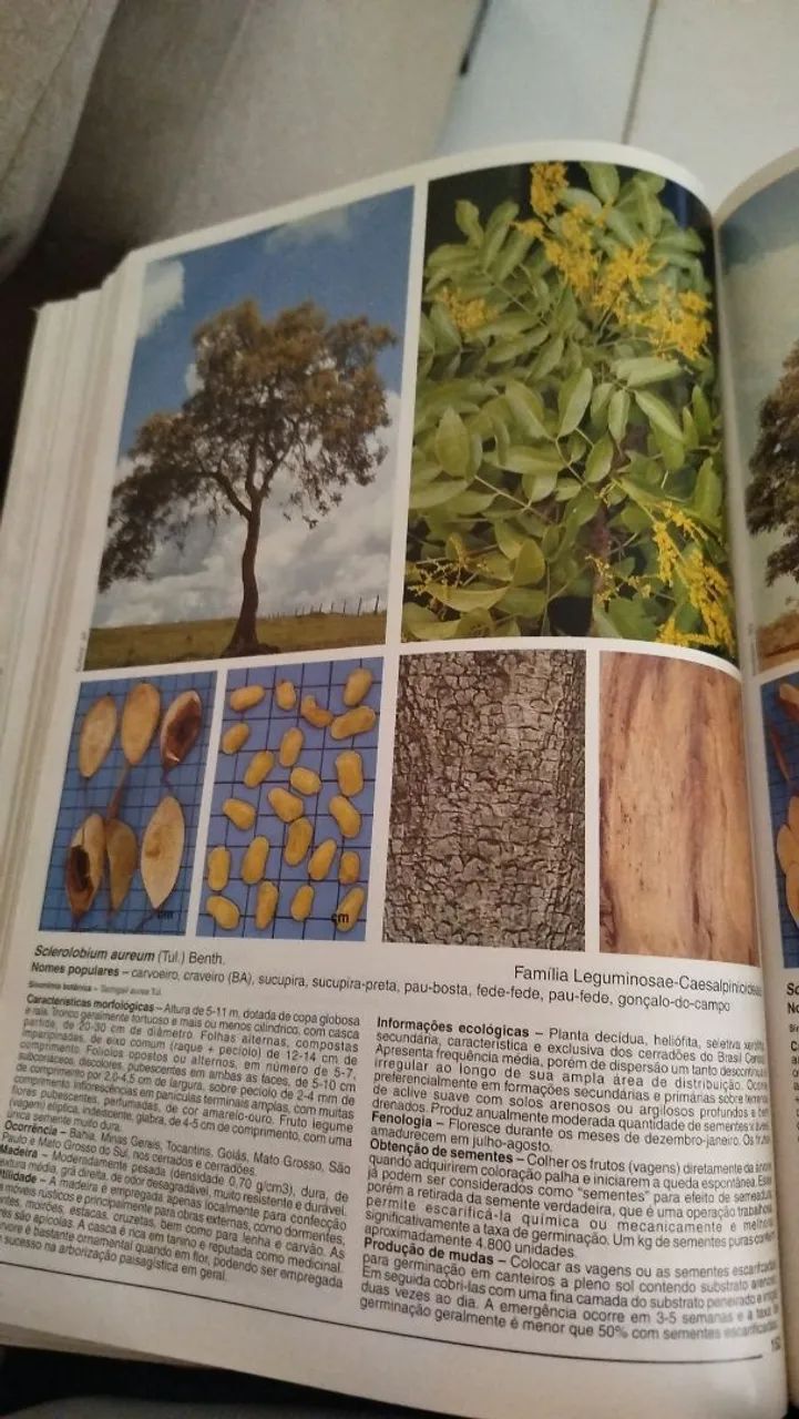 Livro  - Foto 3