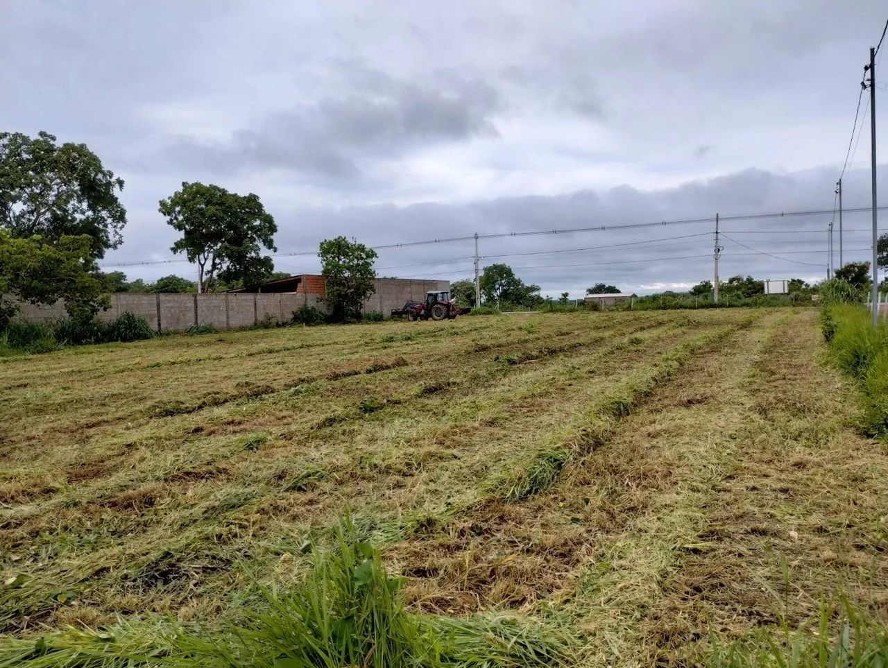 Terreno com barracão e escritório em Varzea Grande - Foto 3