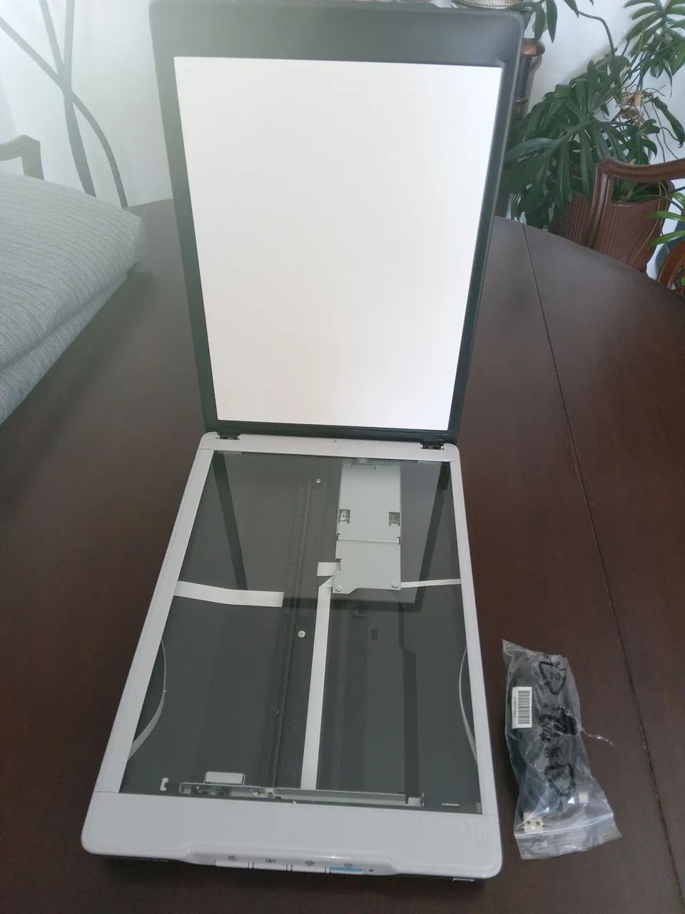SCANNER DE MESA EPSON PERFECTION V19 - Foto 2