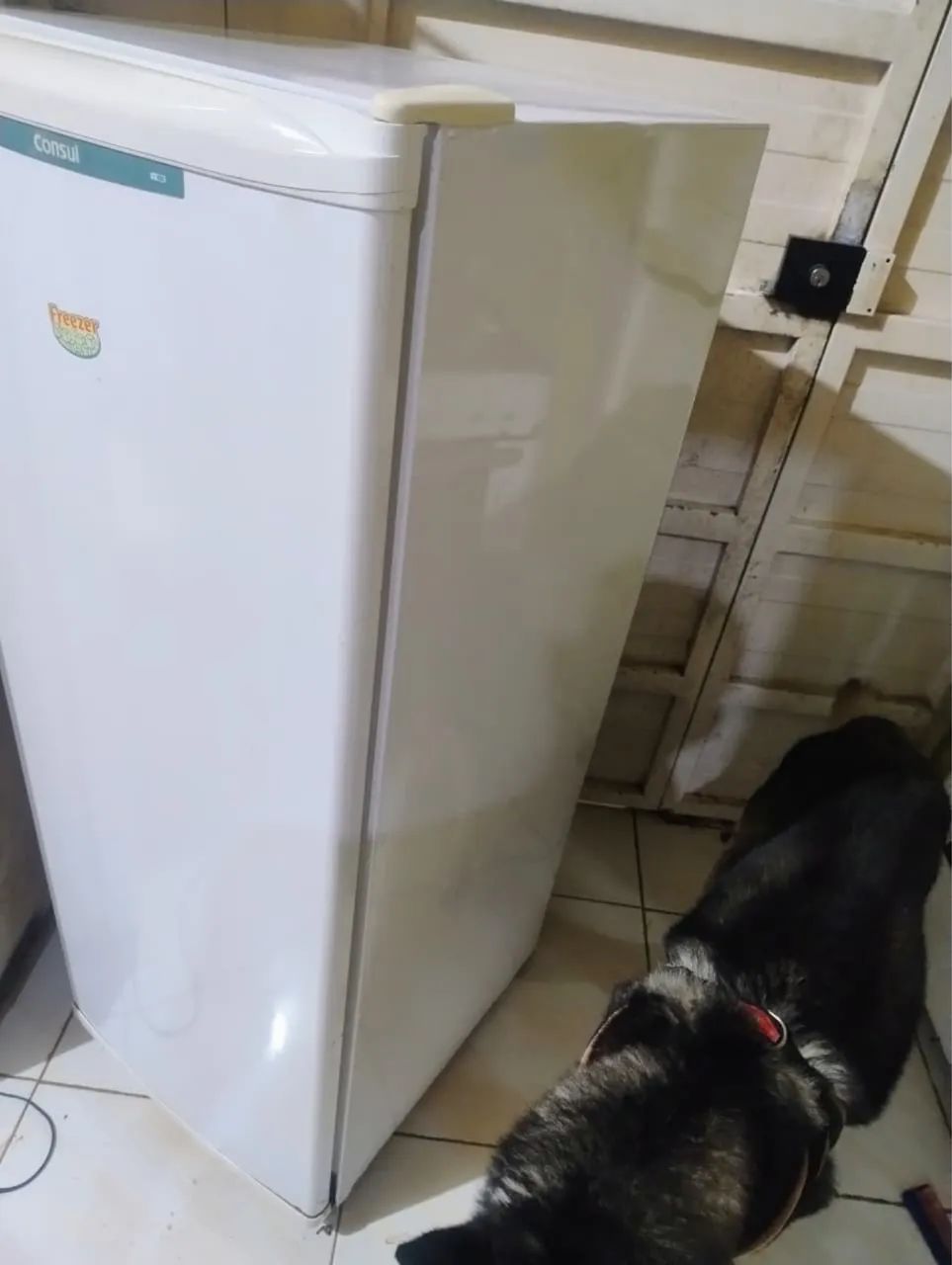 Freezer vertical consul  - Foto 4