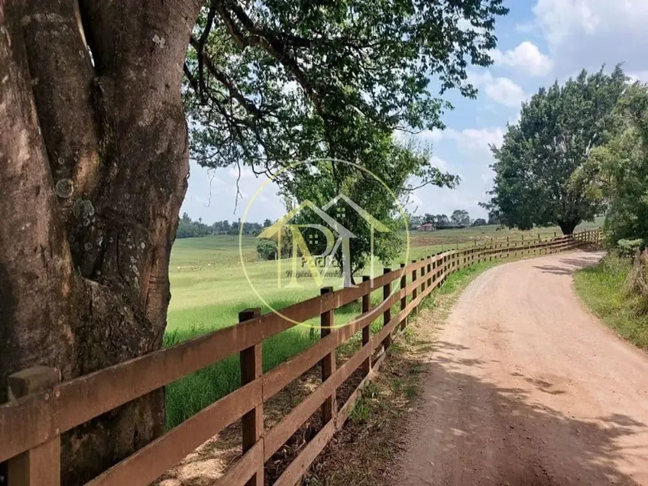 Haras Rural à venda, , - HA0081. - Foto 2